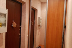 Екатеринбург, ул. Фролова, 29 (ВИЗ) - фото квартиры