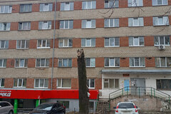 Екатеринбург, ул. Братская, 11 (Вторчермет) - фото комнаты