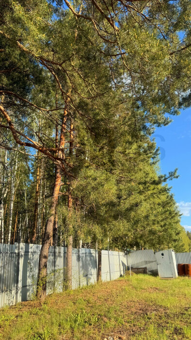 поселок городского типа Белоярский, ул. Лесная, 105 (городской округ Белоярский) - фото земельного участка (6)