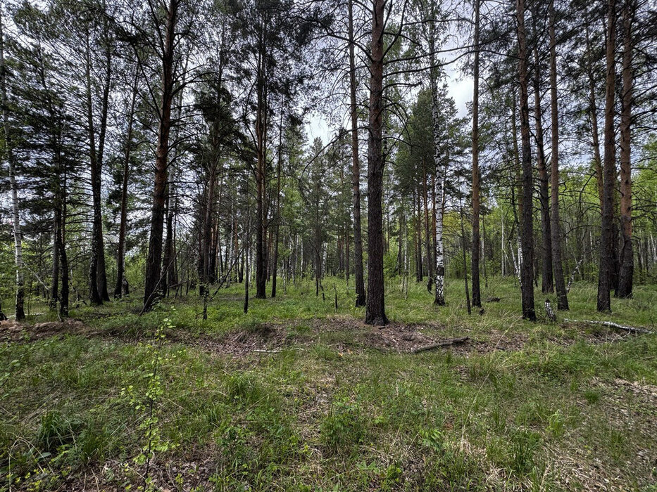 поселок городского типа Белоярский, КС Южный (городской округ Белоярский) - фото сада (4)