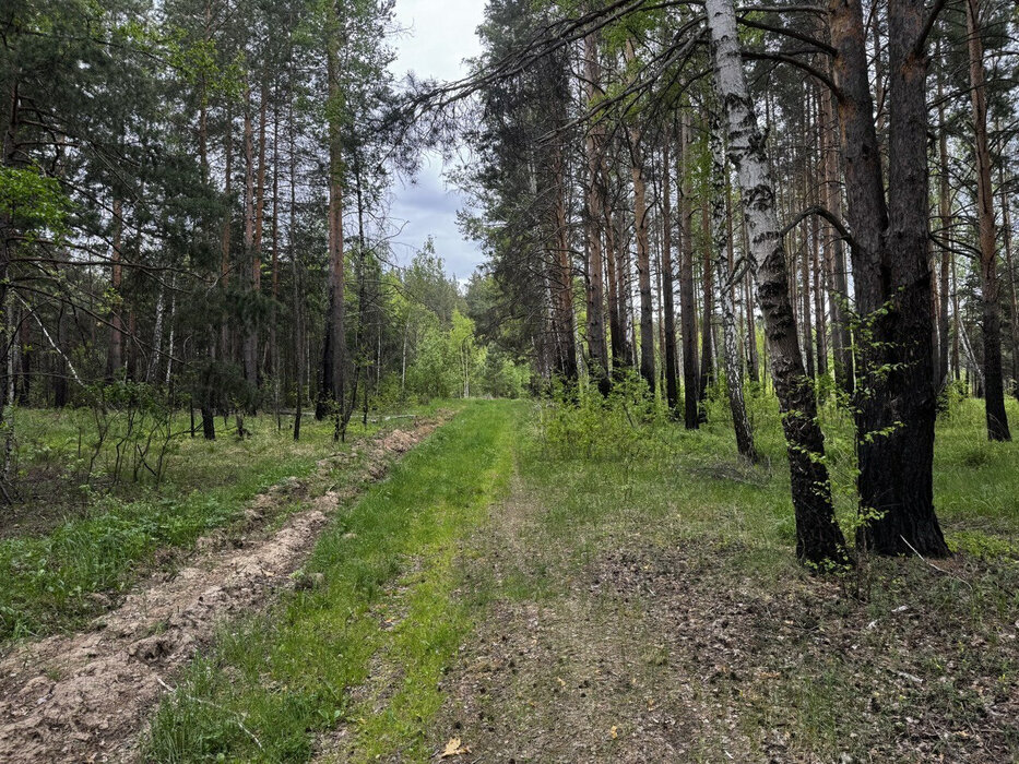 поселок городского типа Белоярский, КС Южный (городской округ Белоярский) - фото сада (6)