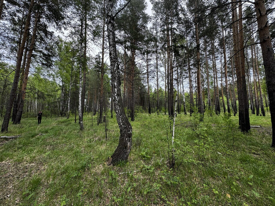 поселок городского типа Белоярский, КС Южный (городской округ Белоярский) - фото сада (7)