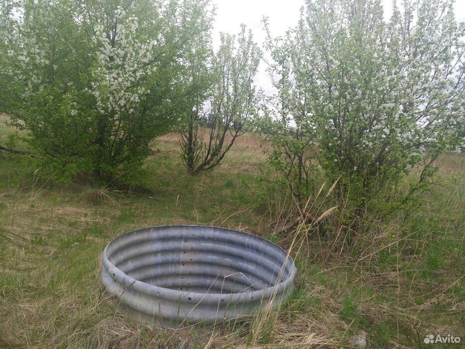 д. Златогорова, к/с Надежда (городской округ Белоярский) - фото сада (1)