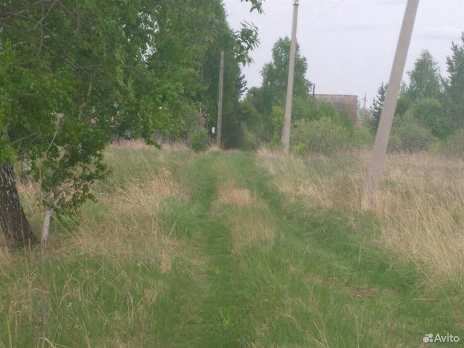 д. Златогорова, к/с Надежда (городской округ Белоярский) - фото сада (2)