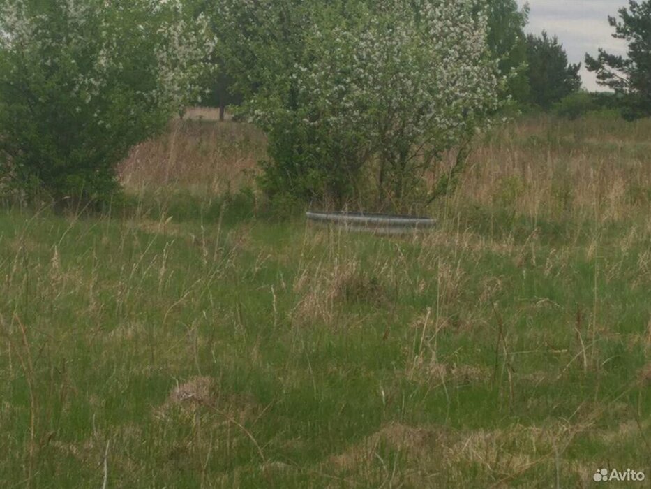 д. Златогорова, к/с Надежда (городской округ Белоярский) - фото сада (3)
