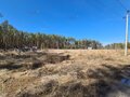 Продажа земельного участка коммерческого назначения: г. Березовский, ул. территория Белоярская зона отдыха, проезд, 2-й, земельный участок 15 (городской округ Березовский) - Фото 4