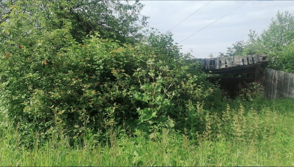 д. Старая Паньшина, ул. Чапаева, 4 (городской округ Горноуральский) - фото земельного участка (1)