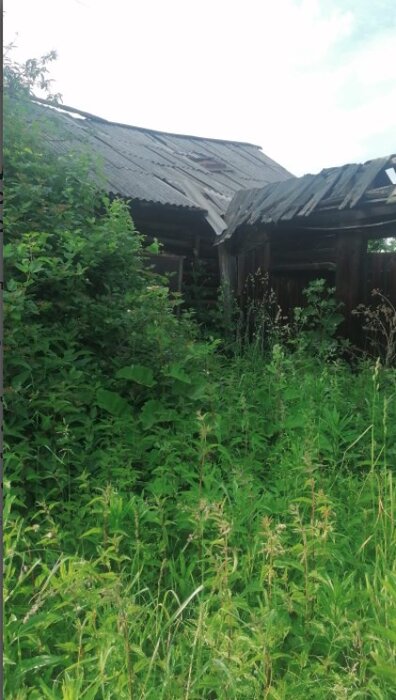 д. Старая Паньшина, ул. Чапаева, 4 (городской округ Горноуральский) - фото земельного участка (2)
