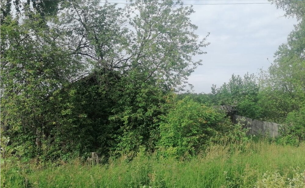 д. Старая Паньшина, ул. Чапаева, 4 (городской округ Горноуральский) - фото земельного участка (3)