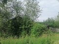 Продажа земельного участка: д. Старая Паньшина, ул. Чапаева, 4 (городской округ Горноуральский) - Фото 3