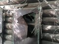 Продажа земельного участка: д. Старая Паньшина, ул. Чапаева, 4 (городской округ Горноуральский) - Фото 5