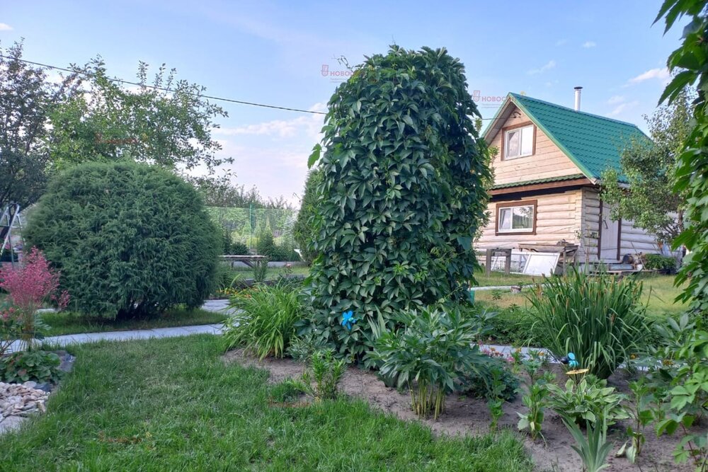 г. Среднеуральск, СНТ Южный (городской округ Среднеуральск) - фото сада (2)