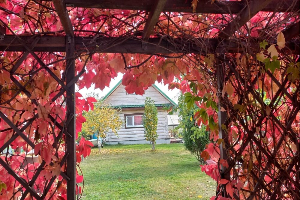 г. Среднеуральск, СНТ Южный (городской округ Среднеуральск) - фото сада (4)