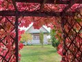 Продажа садового участка: г. Среднеуральск, СНТ Южный (городской округ Среднеуральск) - Фото 4
