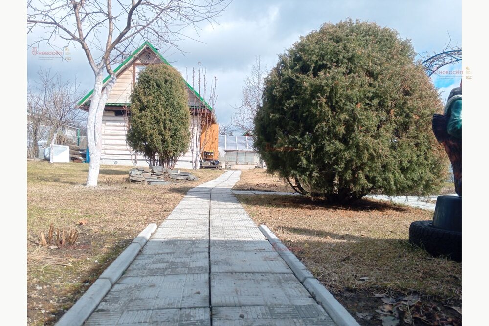 г. Среднеуральск, СНТ Южный (городской округ Среднеуральск) - фото сада (7)
