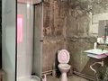 Продажа дома: Екатеринбург, ул. Полевской тракт, 22/55Ж (Горный щит) - Фото 6