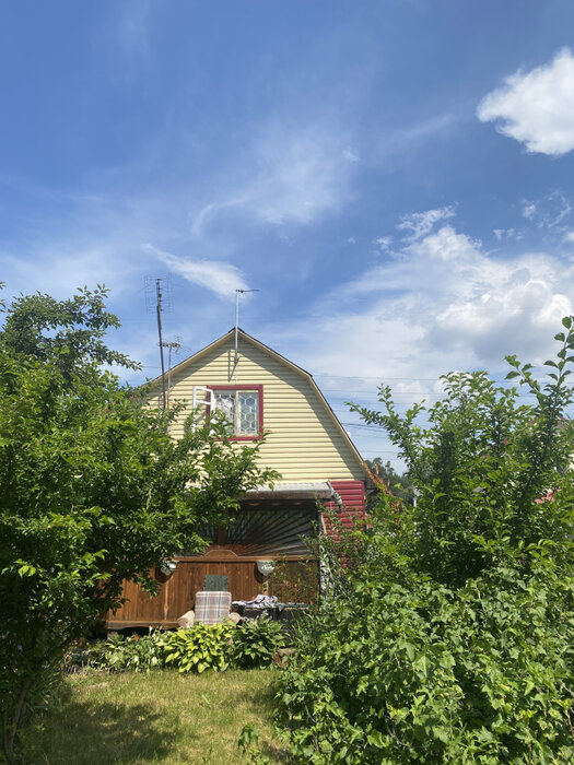 г. Верхняя Пышма, СНТ №39, уч., уч. 110 (городской округ Верхняя Пышма) - фото сада (2)
