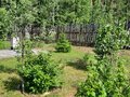 Продажа садового участка: г. Верхняя Пышма, СНТ 