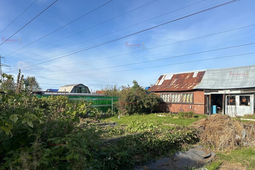 г. Среднеуральск, СНТ Энергетик-2, уч. 94 (городской округ Среднеуральск) - фото сада (4)