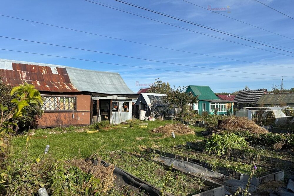 г. Среднеуральск, СНТ Энергетик-2, уч. 94 (городской округ Среднеуральск) - фото сада (4)