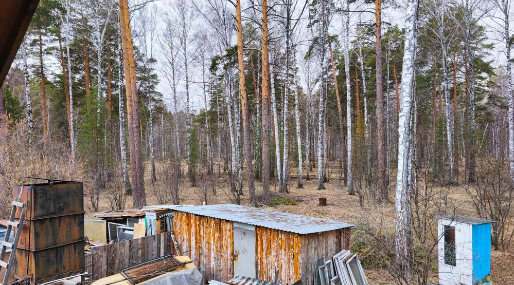 Екатеринбург, СТ Поиск - фото сада (7)