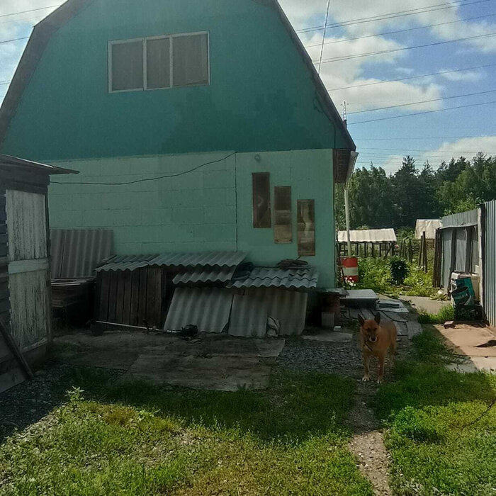 г. Асбест, сдт Литейщик-1 (городской округ Асбестовский) - фото сада (1)