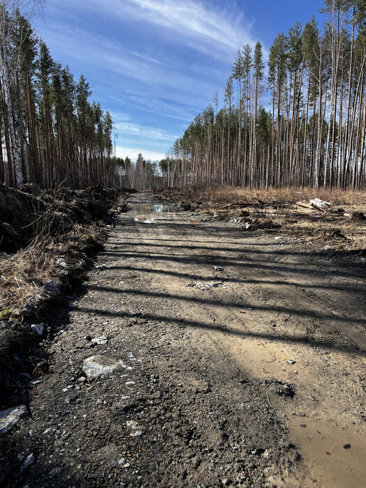 г. Заречный, ул. Рассветная, 7 (городской округ Заречный) - фото земельного участка (2)