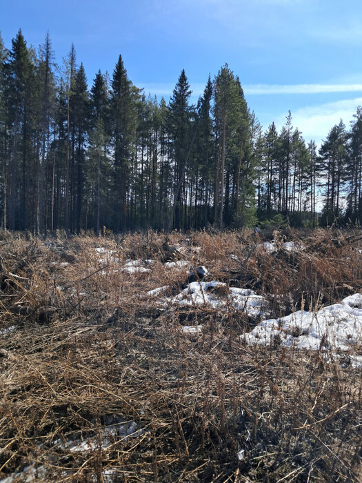 г. Ревда, ул. Земляничная (городской округ Ревда) - фото земельного участка (3)