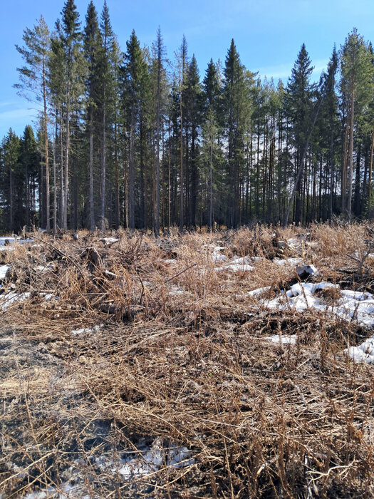 г. Ревда, ул. Земляничная (городской округ Ревда) - фото земельного участка (6)