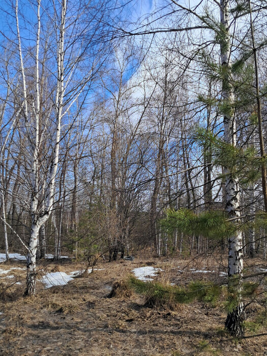 г. Ревда, ул. Обогатителей (городской округ Ревда) - фото земельного участка (1)