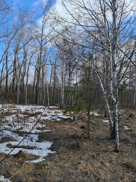 г. Ревда, ул. Обогатителей (городской округ Ревда) - фото земельного участка (2)