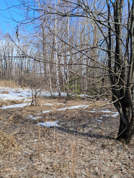 г. Ревда, ул. Обогатителей (городской округ Ревда) - фото земельного участка (3)