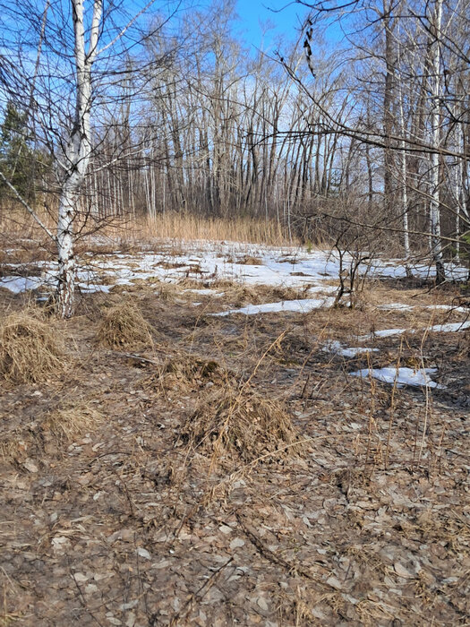 г. Ревда, ул. Обогатителей (городской округ Ревда) - фото земельного участка (4)
