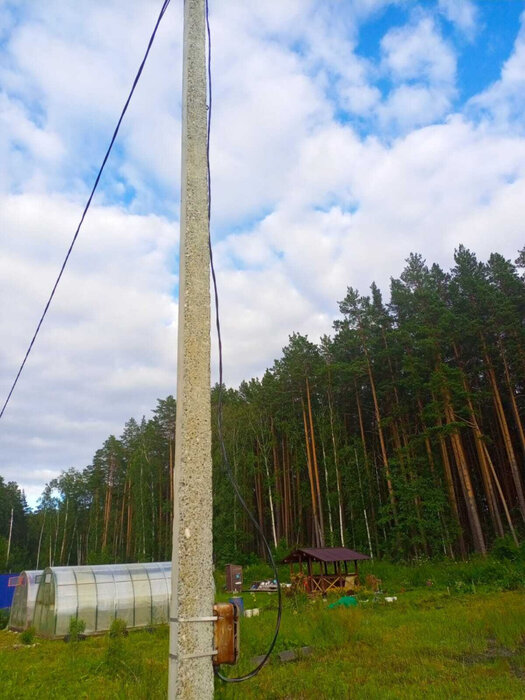 Екатеринбург, СНТ Горный щит (Горный щит) - фото сада (2)