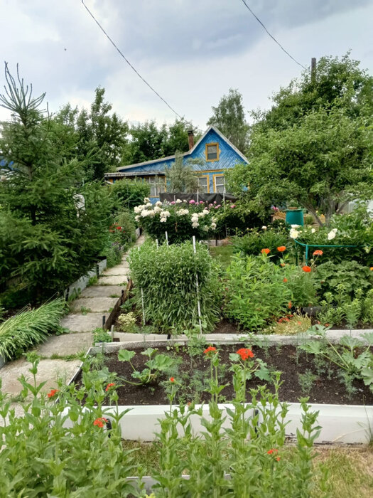 Екатеринбург, снт. Мирный , уч. 31 (Лечебный) - фото сада (1)