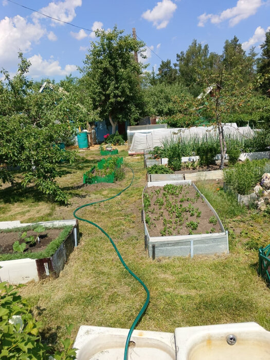 Екатеринбург, снт. Мирный , уч. 31 (Лечебный) - фото сада (5)