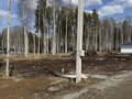 Продажа земельного участка: к.п. Белые Росы (городской округ Полевской, с. Курганово) - Фото 1