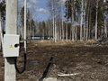 Продажа земельного участка: к.п. Белые Росы (городской округ Полевской, с. Курганово) - Фото 2