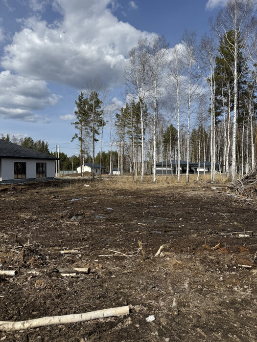 к.п. Белые Росы (городской округ Полевской, с. Курганово) - фото земельного участка (4)
