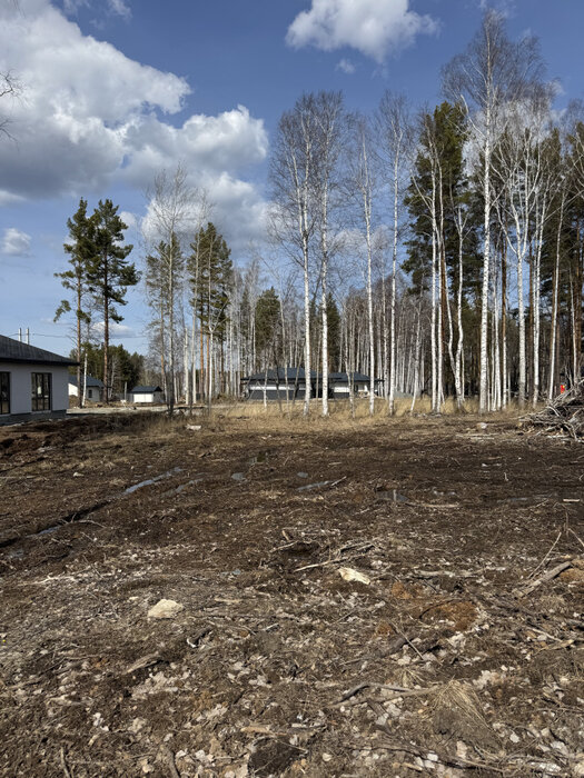 к.п. Белые Росы (городской округ Полевской, с. Курганово) - фото земельного участка (3)