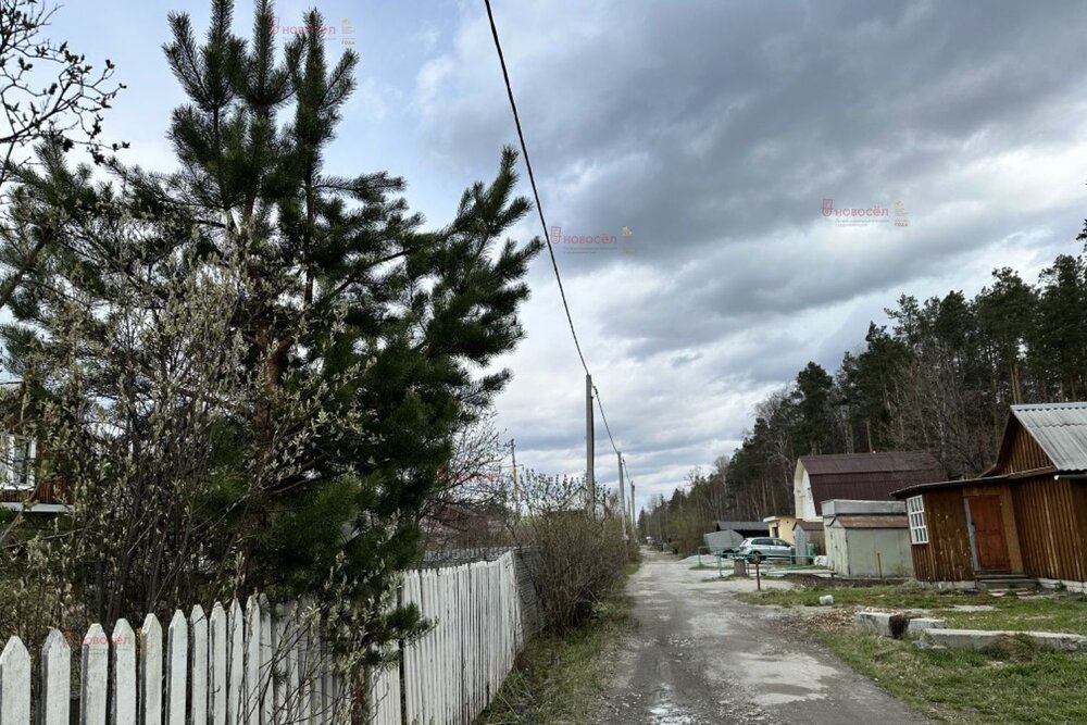 п. Половинный, к/с Синтез (городской округ Верхняя Пышма) - фото сада (1)