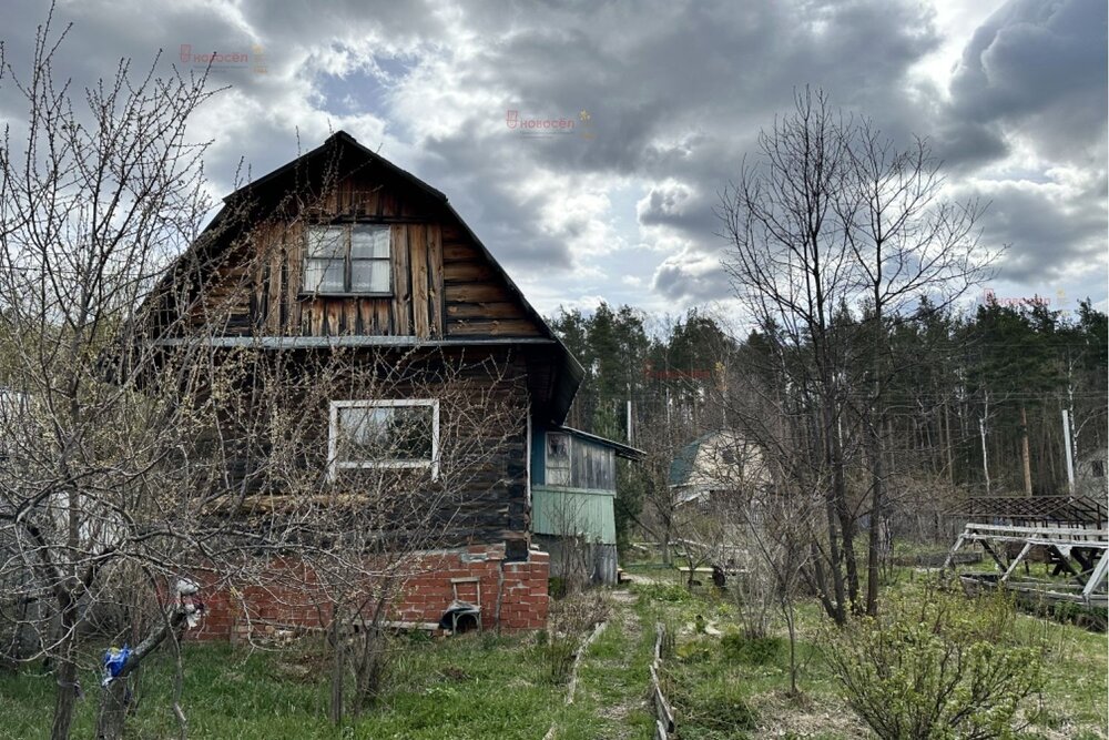 п. Половинный, к/с Синтез (городской округ Верхняя Пышма) - фото сада (3)