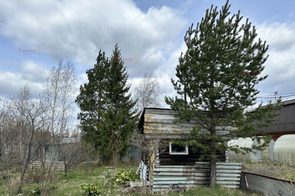 п. Половинный, к/с Синтез (городской округ Верхняя Пышма) - фото сада (4)