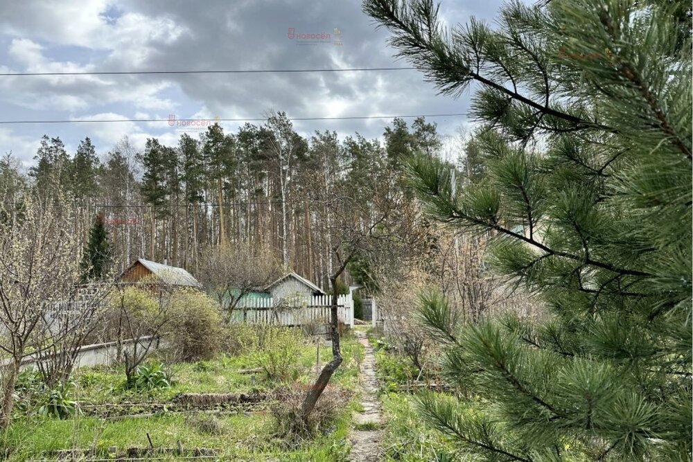 п. Половинный, к/с Синтез (городской округ Верхняя Пышма) - фото сада (5)