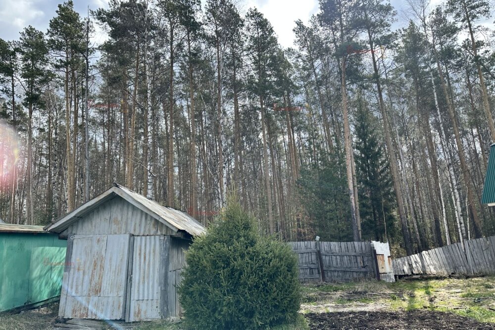 п. Половинный, к/с Синтез (городской округ Верхняя Пышма) - фото сада (7)