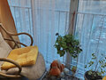 Продажа квартиры: Екатеринбург, ул. Хрустальногорская, 84 (Широкая речка) - Фото 6