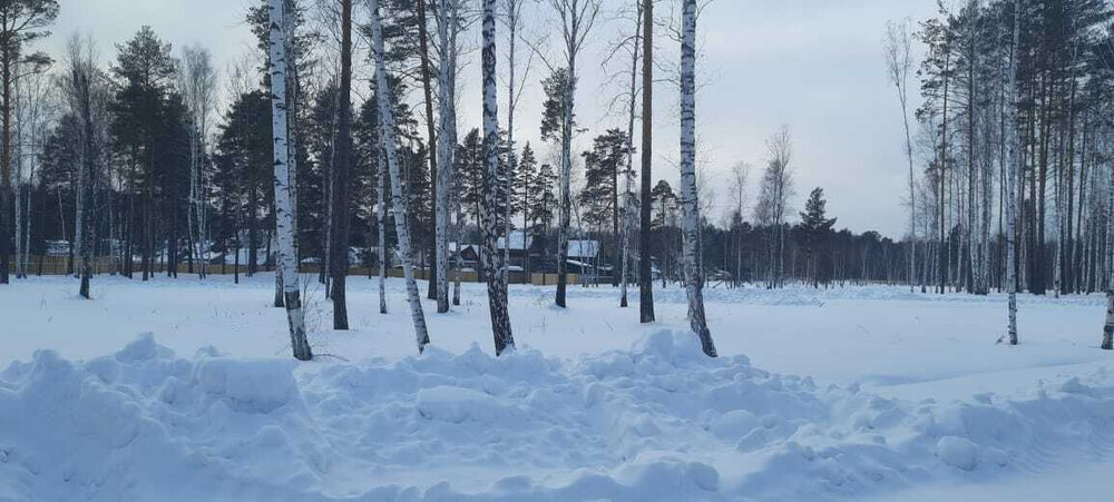 с. Балтым, СНТ Звёздочка (городской округ Верхняя Пышма) - фото сада (8)