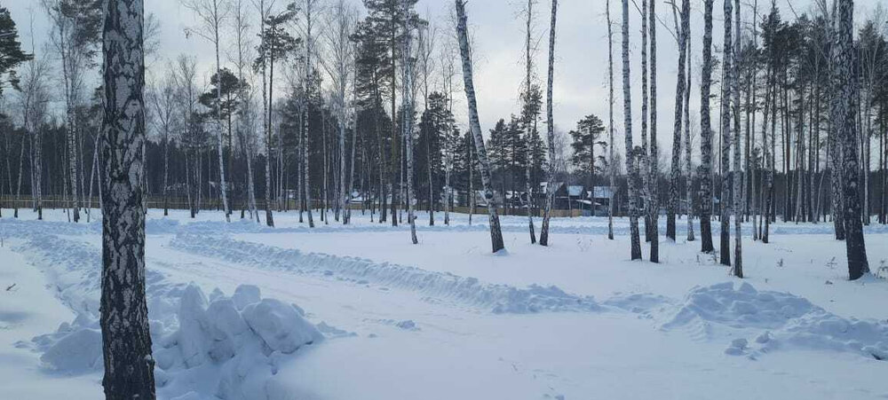 с. Балтым, район СНТ Звездочка (городской округ Верхняя Пышма) - фото сада (1)