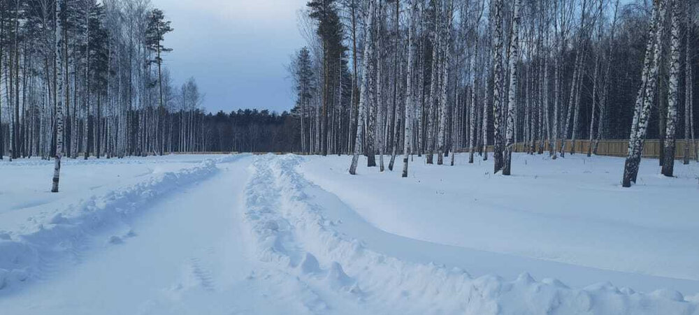 с. Балтым, район СНТ Звездочка (городской округ Верхняя Пышма) - фото сада (3)