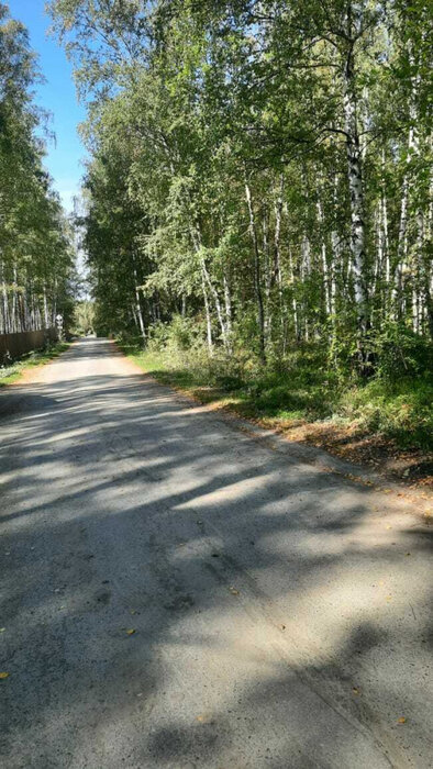 с. Балтым, район СНТ Звездочка (городской округ Верхняя Пышма) - фото сада (6)